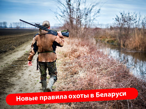 Новые правила охоты в Беларуси